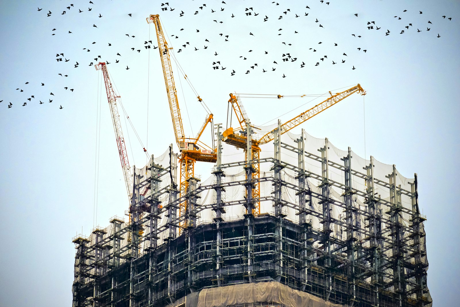 Chantier de superstructure et fondations profondes tour R+16
