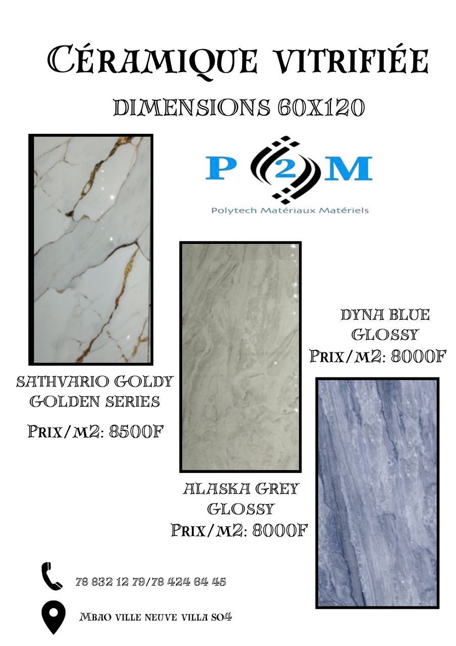 Céramique vitrifiée 60×120 — Sathvario Goldy 8 500 F/m² · Alaska Grey · Dyna Blue